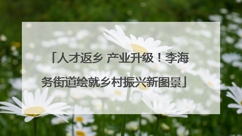 人才返乡 产业升级！李海务街道绘就乡村振兴新图景