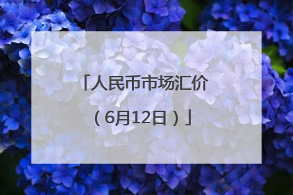 人民币市场汇价（6月12日）