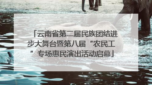 云南省第二届民族团结进步大舞台暨第八届“农民工”专场惠民演出活动启幕