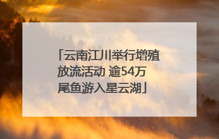 云南江川举行增殖放流活动 逾54万尾鱼游入星云湖