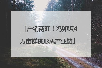 产销两旺！冯卯镇4万亩鲜桃形成产业链