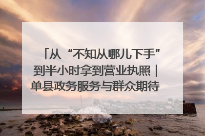 从“不知从哪儿下手”到半小时拿到营业执照｜单县政务服务与群众期待的“双向奔赴”