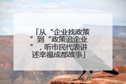 从“企业找政策”到“政策追企业”，听市民代表讲述幸福成都故事