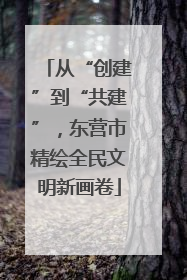 从“创建”到“共建”，东营市精绘全民文明新画卷