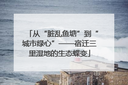 从“脏乱鱼塘”到“城市绿心”——宿迁三里湿地的生态蝶变
