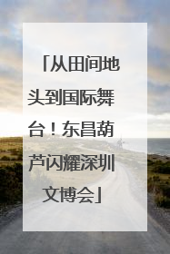 从田间地头到国际舞台！东昌葫芦闪耀深圳文博会