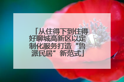 从住得下到住得好聊城高新区以定制化服务打造“鲁派民居”新范式