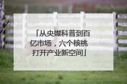 从央媒科普到百亿市场，六个核桃打开产业新空间