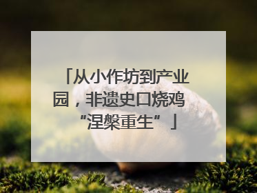 从小作坊到产业园，非遗史口烧鸡“涅槃重生”