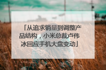 从追求销量到调整产品结构，小米总裁卢伟冰回应手机大盘变动