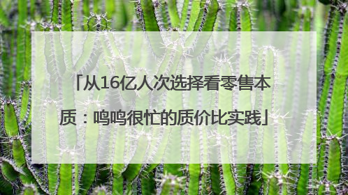 从16亿人次选择看零售本质：鸣鸣很忙的质价比实践