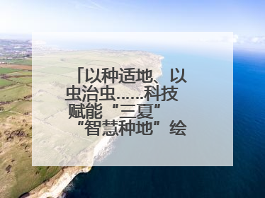 以种适地、以虫治虫……科技赋能“三夏” “智慧种地”绘就好“丰”景