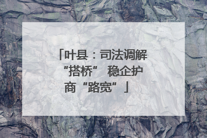 叶县：司法调解“搭桥” 稳企护商“路宽”