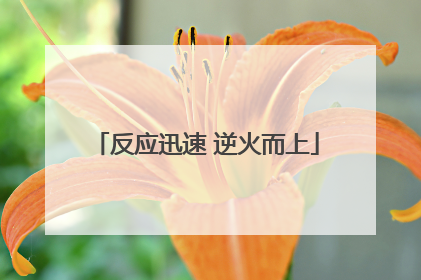 反应迅速 逆火而上