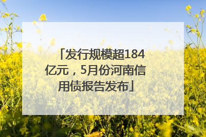 发行规模超184亿元，5月份河南信用债报告发布