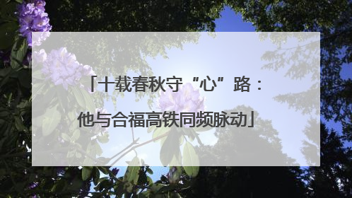 十载春秋守“心”路：他与合福高铁同频脉动