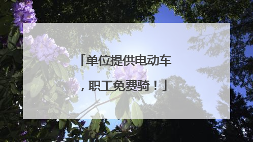 单位提供电动车，职工免费骑！