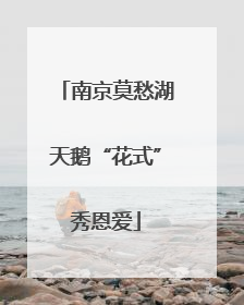 南京莫愁湖天鹅“花式”秀恩爱