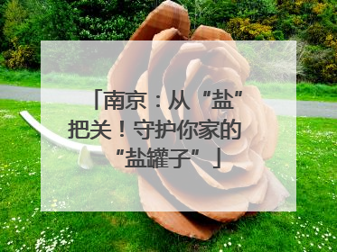 南京：从“盐”把关！守护你家的“盐罐子”
