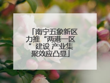 南宁五象新区力推“两港一区”建设 产业集聚效应凸显