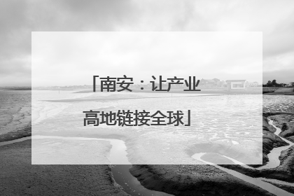 南安：让产业高地链接全球