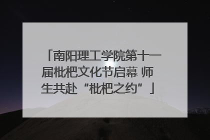 南阳理工学院第十一届枇杷文化节启幕 师生共赴“枇杷之约”