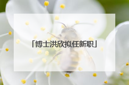 博士洪欣拟任新职