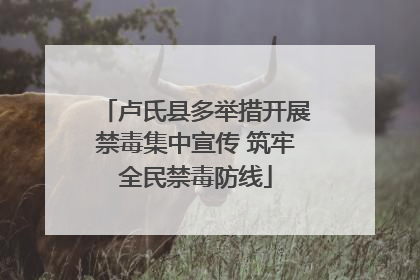 卢氏县多举措开展禁毒集中宣传 筑牢全民禁毒防线