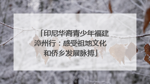 印尼华裔青少年福建漳州行:感受祖地文化和侨乡发展脉搏