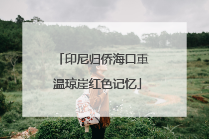 印尼归侨海口重温琼崖红色记忆