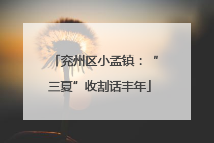 兖州区小孟镇：“三夏”收割话丰年
