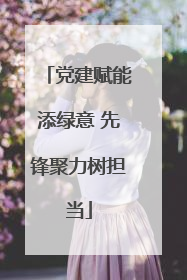 党建赋能添绿意 先锋聚力树担当