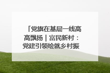 党旗在基层一线高高飘扬｜富民新村：党建引领绘就乡村振兴美丽画卷