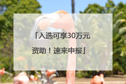 入选可享30万元资助！速来申报