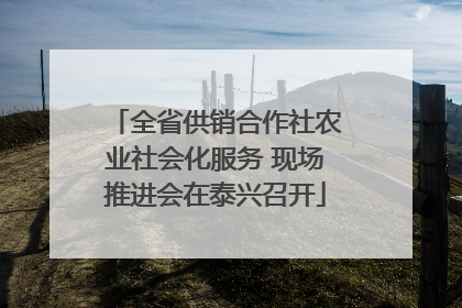 全省供销合作社农业社会化服务 现场推进会在泰兴召开