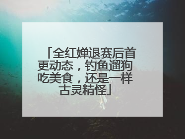 全红婵退赛后首更动态，钓鱼遛狗吃美食，还是一样古灵精怪