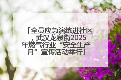 全员应急演练进社区，武汉龙泉街2025年燃气行业“安全生产月”宣传活动举行