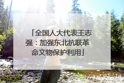 全国人大代表王志强：加强东北抗联革命文物保护利用