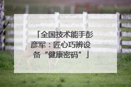 全国技术能手彭彦军：匠心巧辨设备“健康密码”