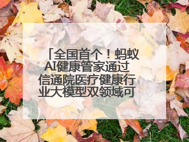 全国首个！蚂蚁AI健康管家通过信通院医疗健康行业大模型双领域可信评估