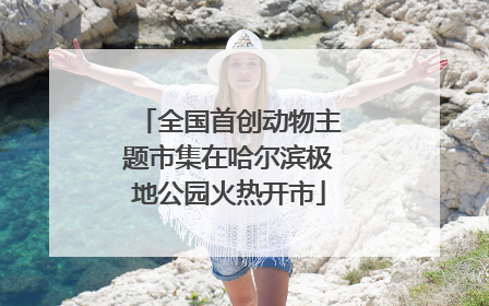 全国首创动物主题市集在哈尔滨极地公园火热开市