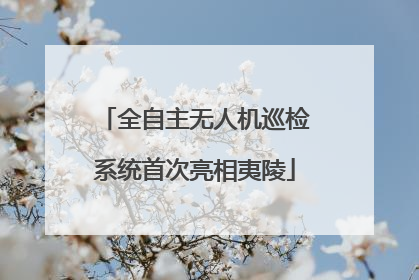 全自主无人机巡检系统首次亮相夷陵