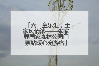 六一童乐汇，土家风情浓——张家界国家森林公园门票站暖心宠游客