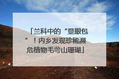 兰科中的“显眼包”！内乡发现珍稀濒危植物毛萼山珊瑚