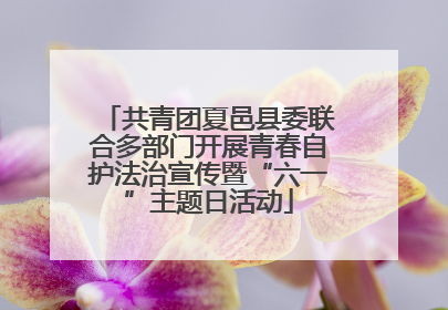 共青团夏邑县委联合多部门开展青春自护法治宣传暨“六一”主题日活动
