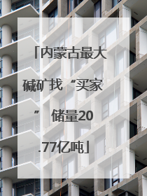 内蒙古最大碱矿找“买家” 储量20.77亿吨