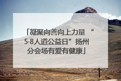 凝聚向善向上力量 “5·8人道公益日”扬州分会场有爱有健康