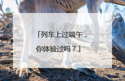 列车上过端午，你体验过吗？