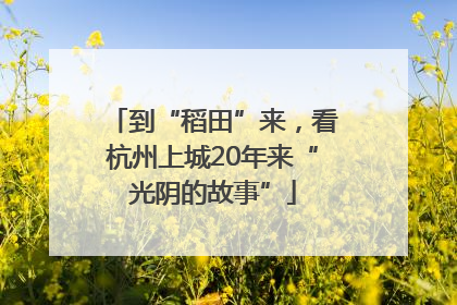 到“稻田”来，看杭州上城20年来“光阴的故事”