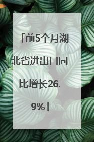 前5个月湖北省进出口同比增长26.9%